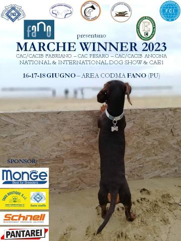 winner